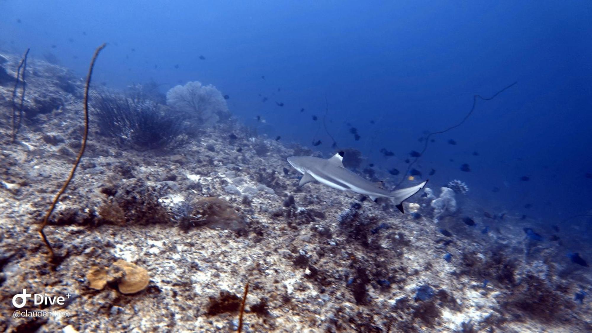 Budi Sun Resort ماوميري المظهر الخارجي الصورة